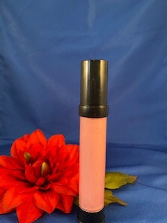 Organic Makeup kit | Non toxic Makeup | Cruelty Free Cosmetics | Clean Beauty | Non Comedogenic Makeup | Makeup kit