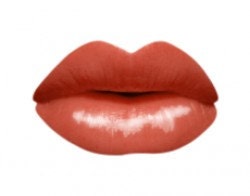 Organic Lip Gloss in NAMASTE   Goddess Glaze™ Organic Natural Lip Gloss  Cruelty Free Makeup  Non Toxic Lip Gloss